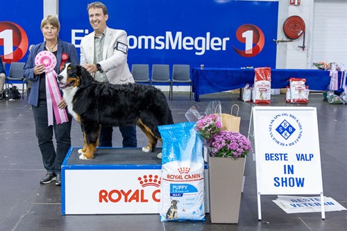 Beste valp in show.jpg
